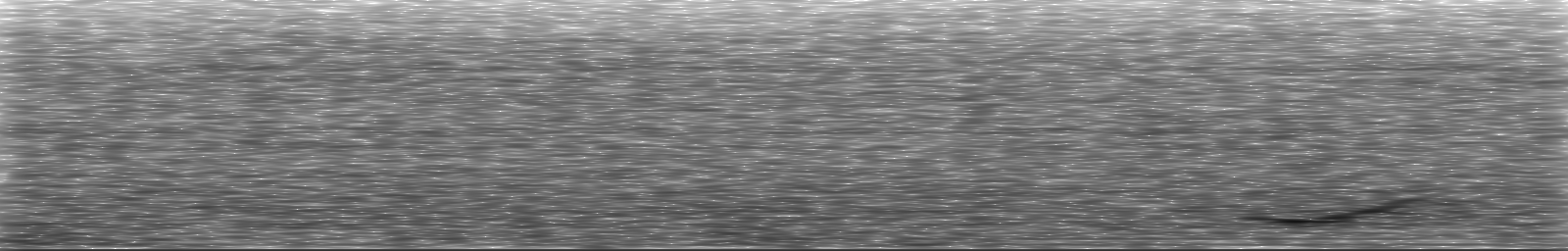 [Loading Spectrogram]