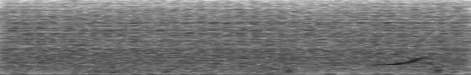 [Loading Spectrogram]