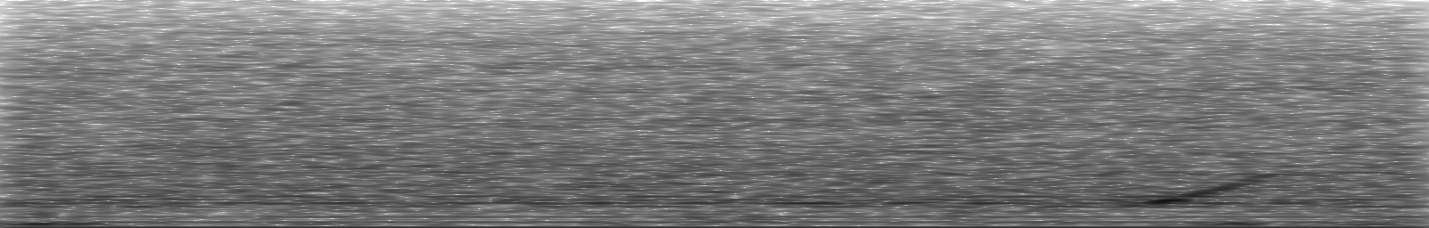 [Loading Spectrogram]