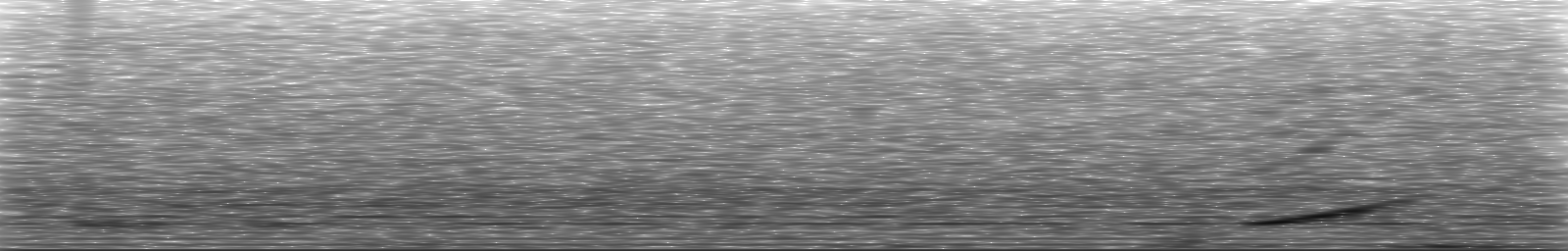 [Loading Spectrogram]