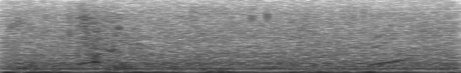 [Loading Spectrogram]