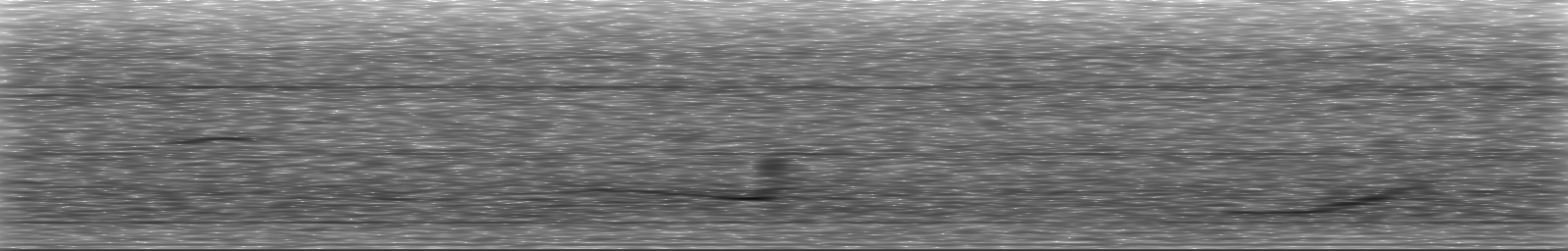 [Loading Spectrogram]