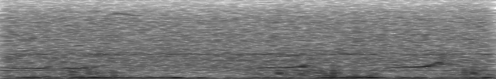 [Loading Spectrogram]