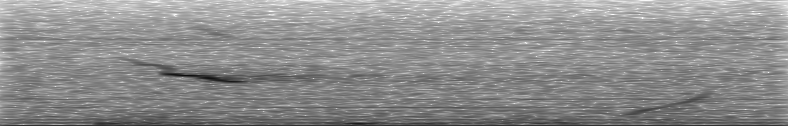 [Loading Spectrogram]