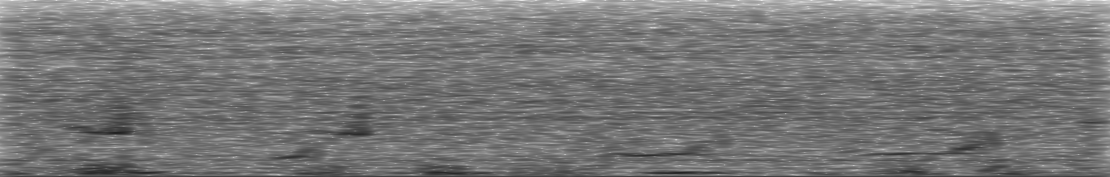 [Loading Spectrogram]