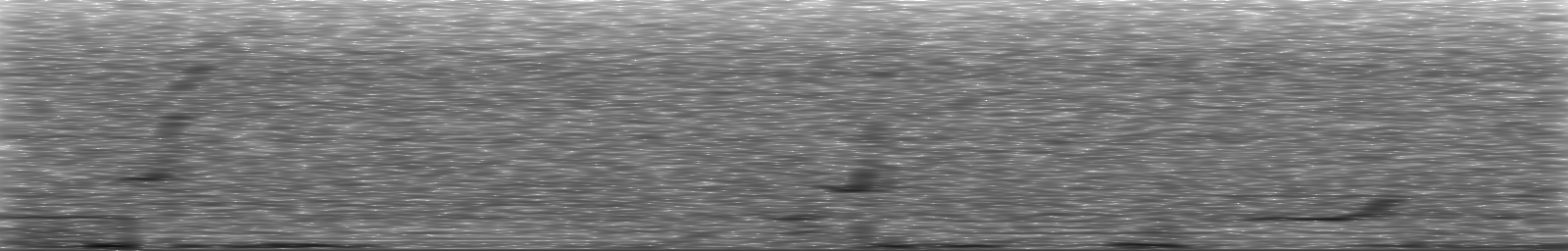 [Loading Spectrogram]