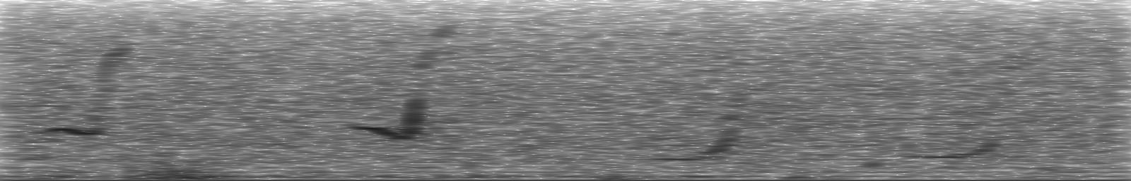 [Loading Spectrogram]