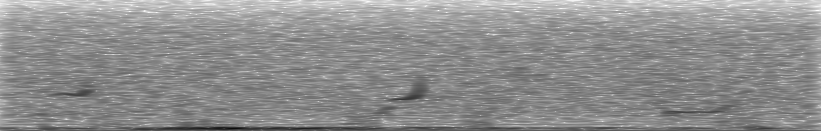 [Loading Spectrogram]