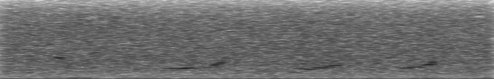 [Loading Spectrogram]