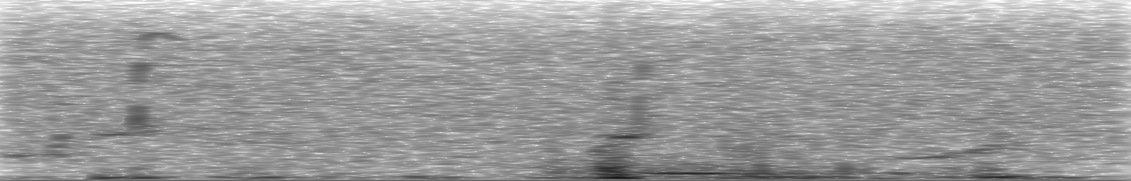 [Loading Spectrogram]