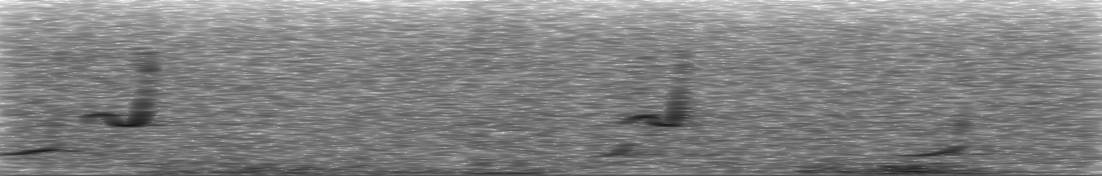 [Loading Spectrogram]