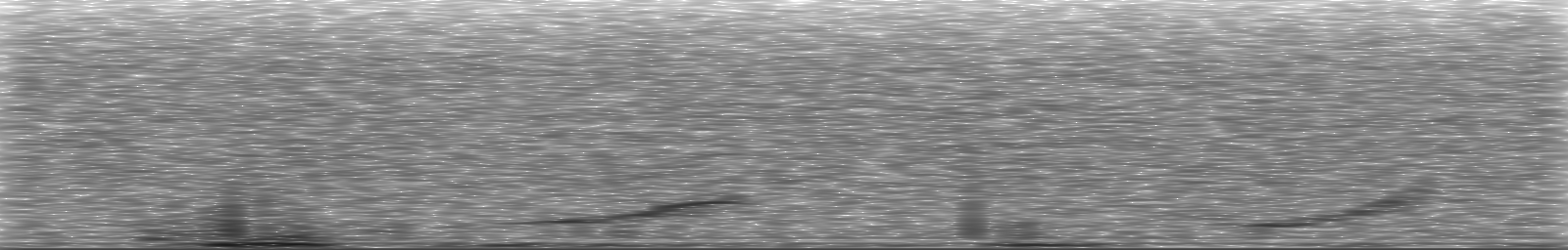 [Loading Spectrogram]