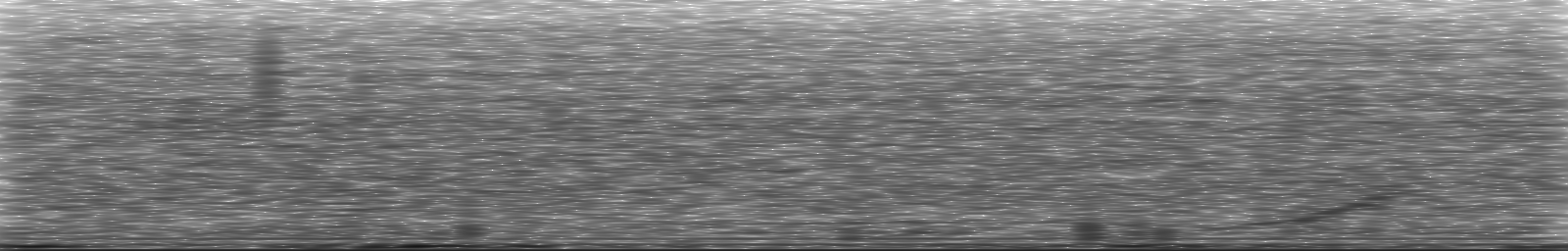 [Loading Spectrogram]