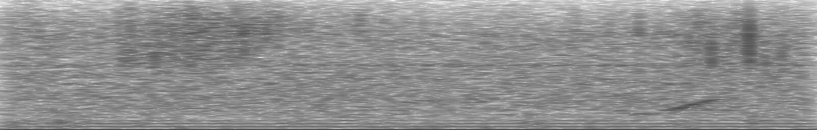 [Loading Spectrogram]