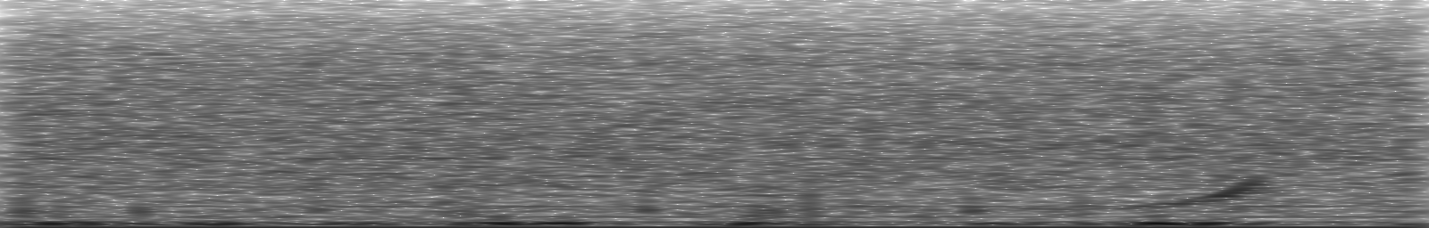 [Loading Spectrogram]