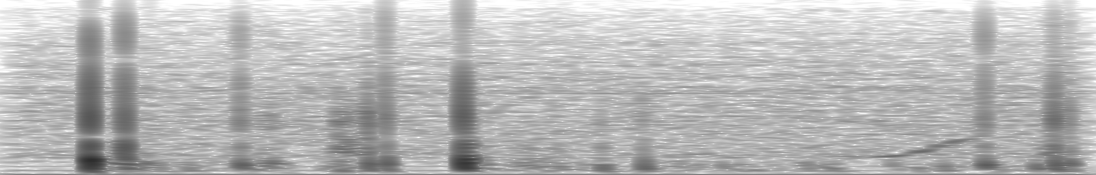 [Loading Spectrogram]