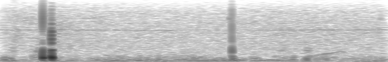 [Loading Spectrogram]