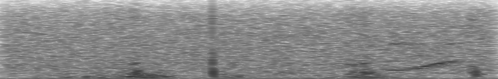 [Loading Spectrogram]