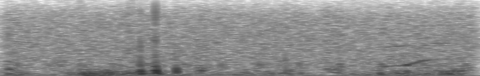 [Loading Spectrogram]