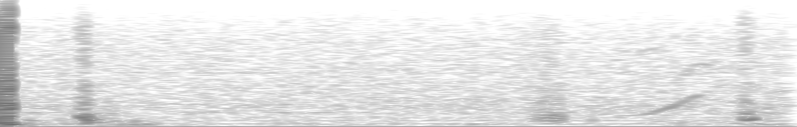 [Loading Spectrogram]