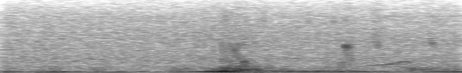 [Loading Spectrogram]