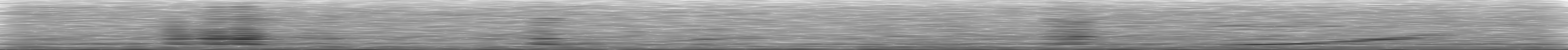 [Loading Spectrogram]