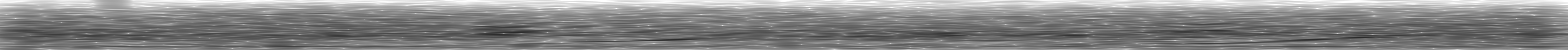 [Loading Spectrogram]