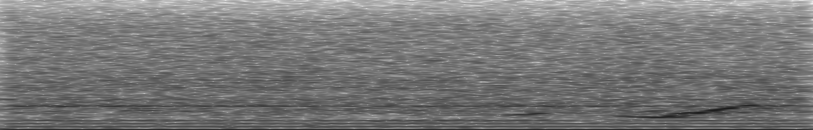 [Loading Spectrogram]