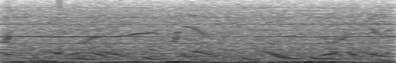 [Loading Spectrogram]