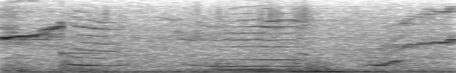 [Loading Spectrogram]