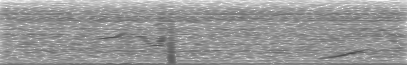 [Loading Spectrogram]