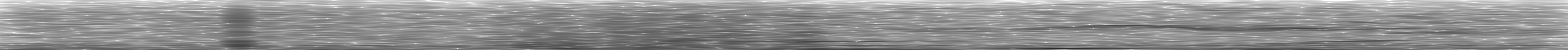 [Loading Spectrogram]