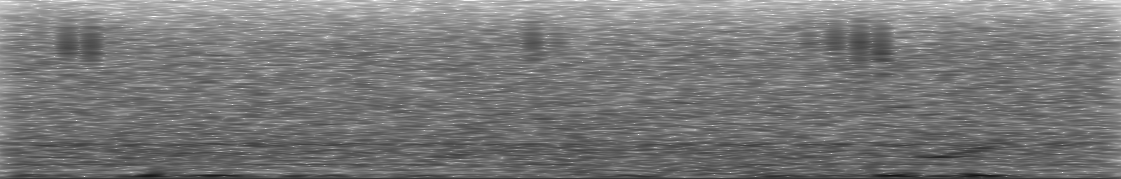 [Loading Spectrogram]