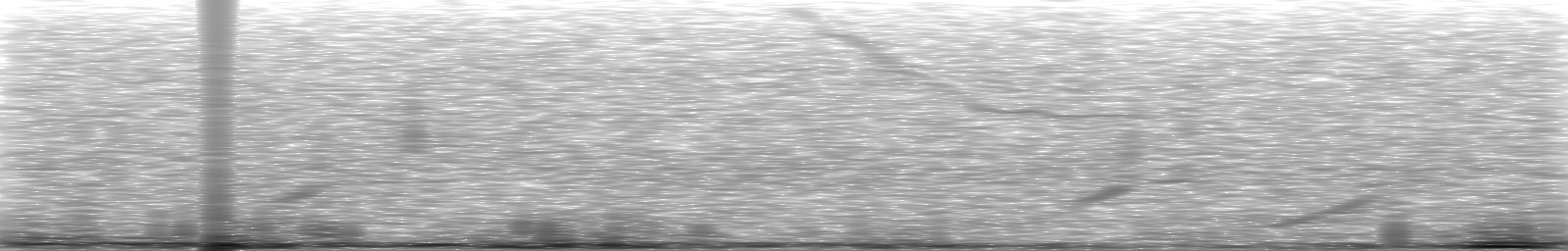 [Loading Spectrogram]