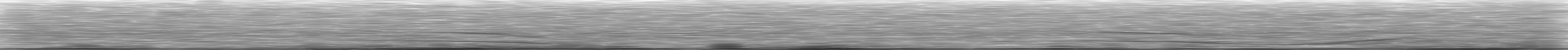 [Loading Spectrogram]