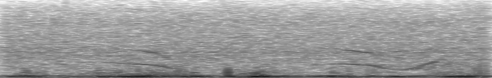 [Loading Spectrogram]