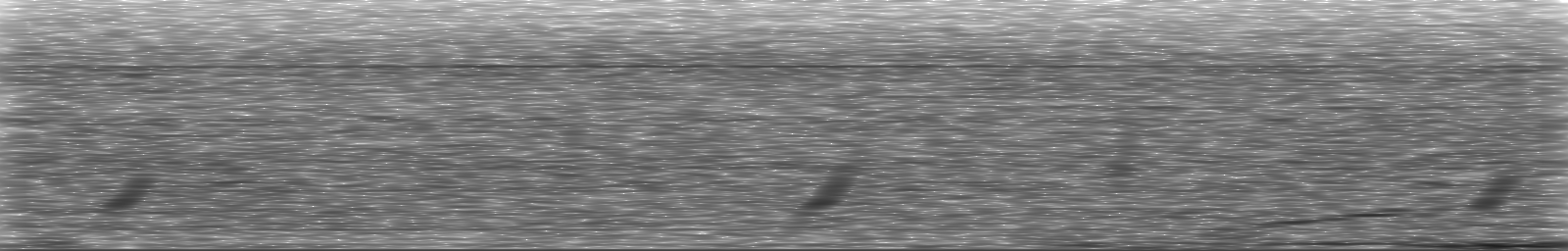 [Loading Spectrogram]
