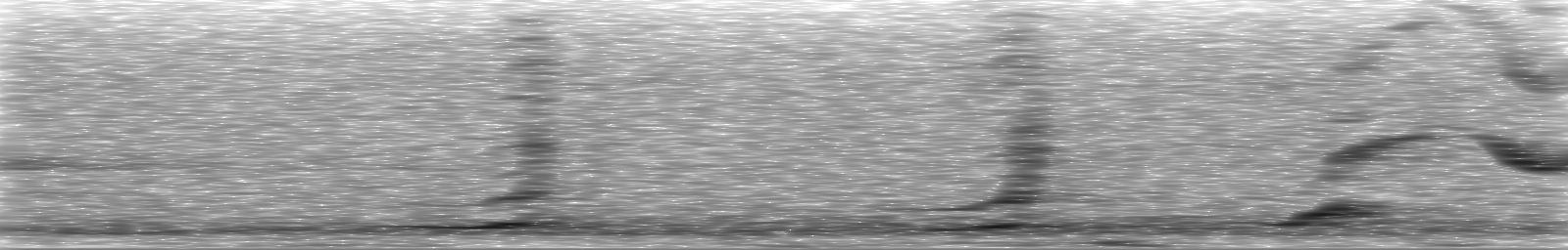 [Loading Spectrogram]