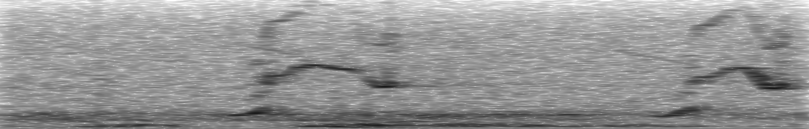 [Loading Spectrogram]