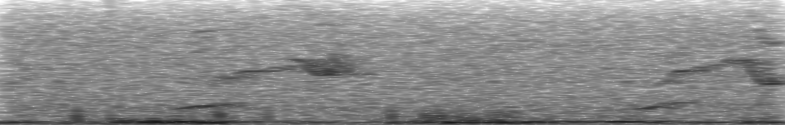 [Loading Spectrogram]