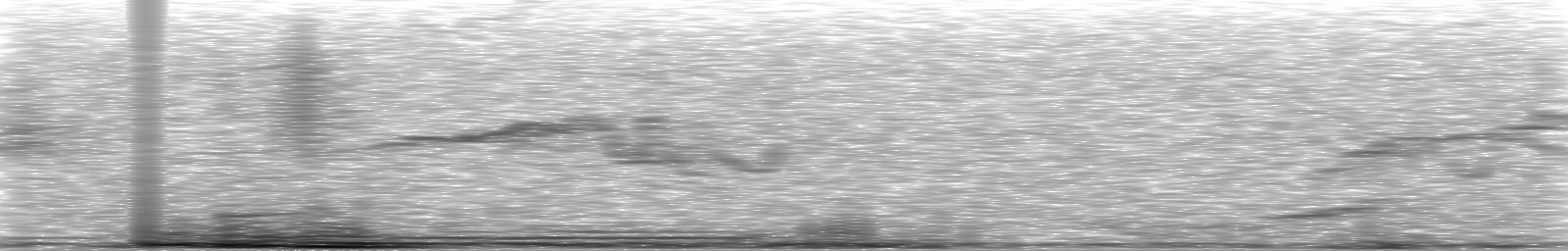 [Loading Spectrogram]