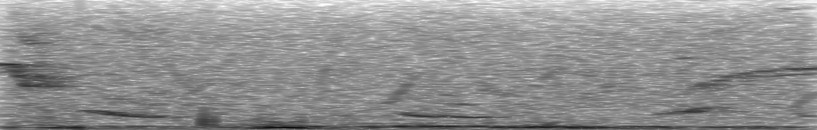[Loading Spectrogram]