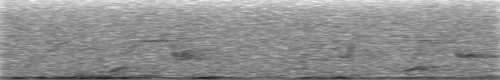 [Loading Spectrogram]