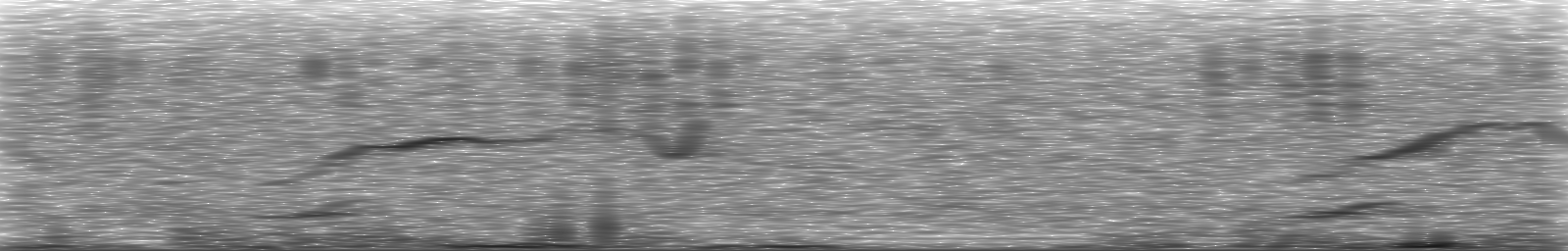 [Loading Spectrogram]