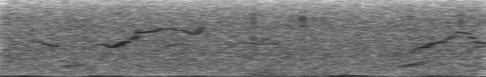 [Loading Spectrogram]