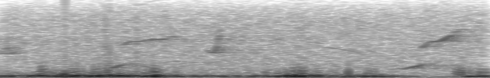 [Loading Spectrogram]