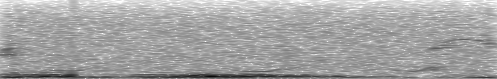 [Loading Spectrogram]