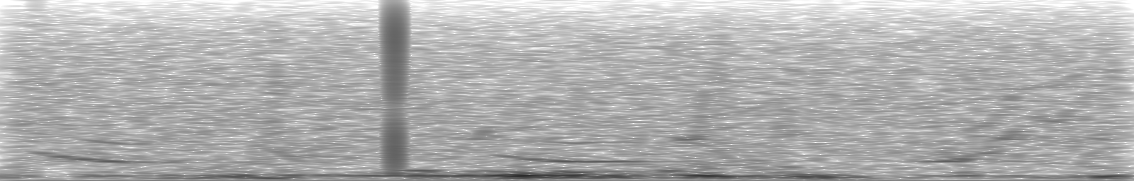 [Loading Spectrogram]