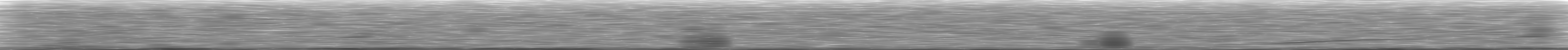[Loading Spectrogram]