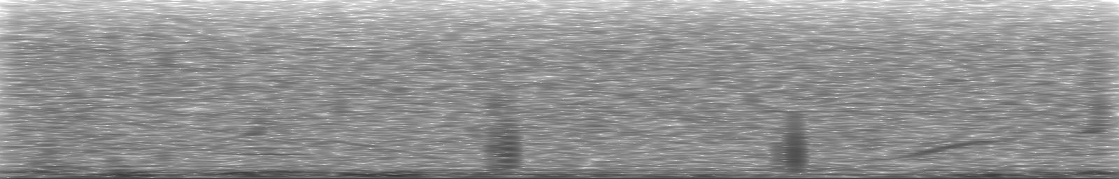[Loading Spectrogram]